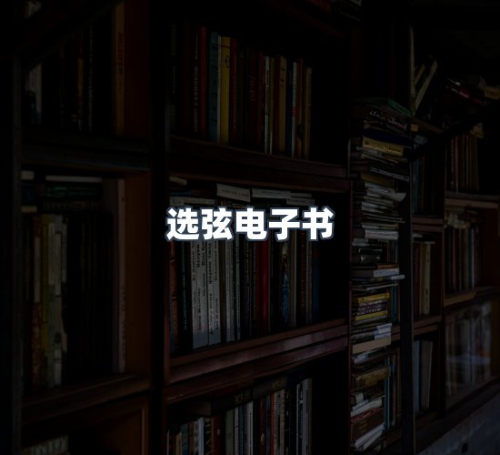 关于选弦电子书